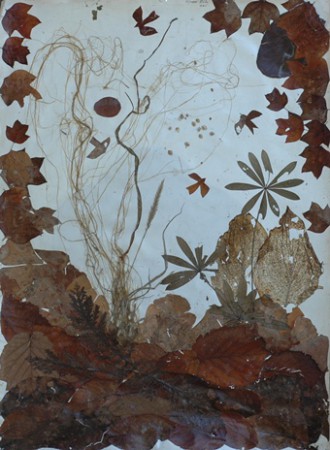 Madárkák a szélben